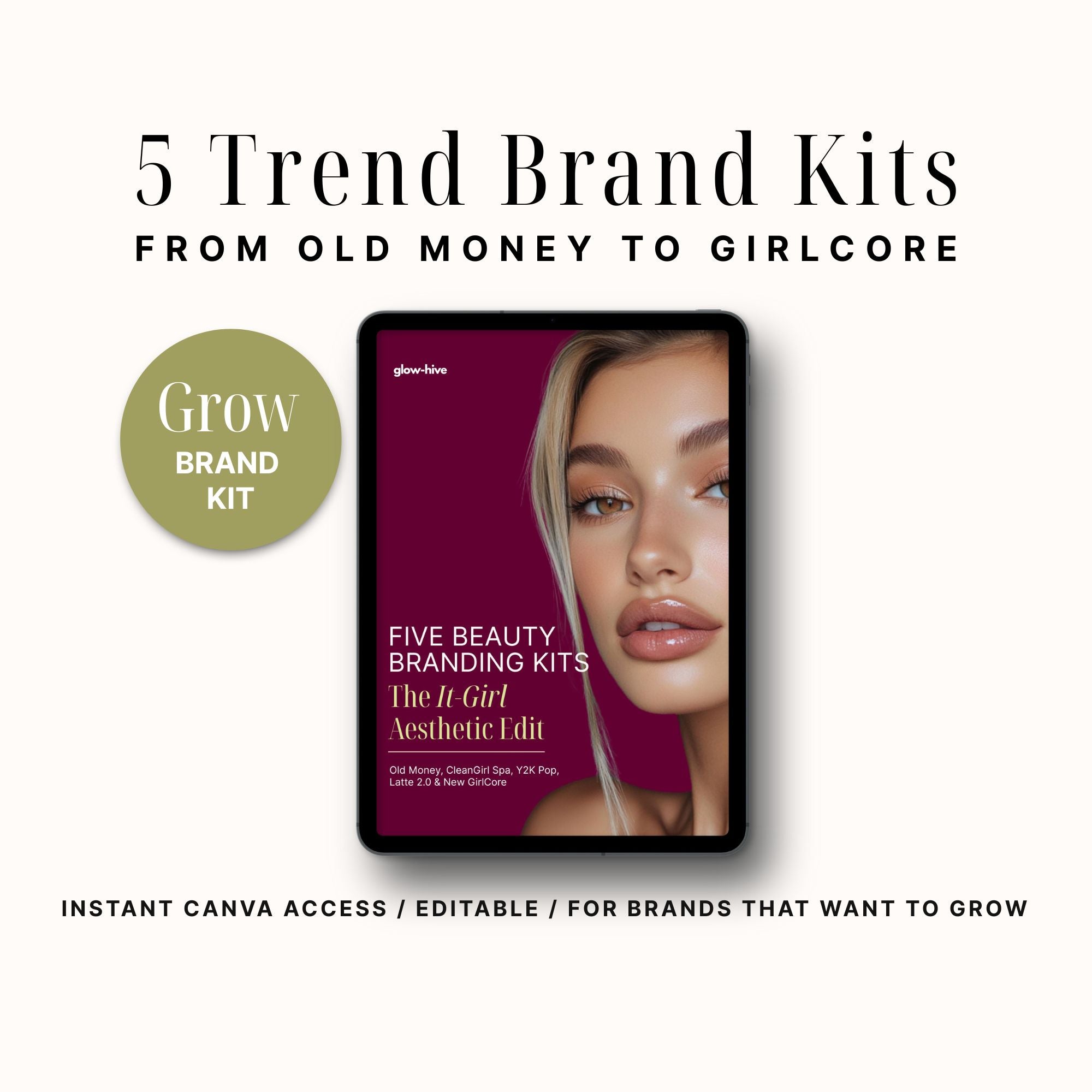 The 'It-Girl' 5 Aesthetic Brand Kit Set